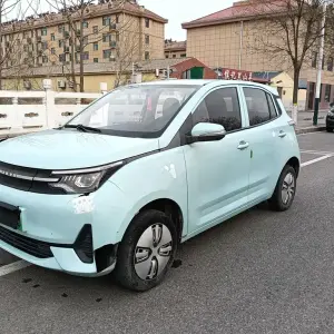 Lei Ding Leiding Mango 2021 из Китая