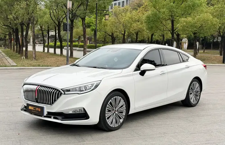 Hongqi Hongqi H5 2023 из Китая