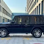 Mercedes-Benz G-Class 2017 421 л.с. 421 л.с. 421 л.с. из Китая