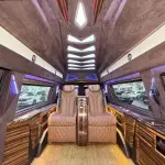 Ford E350 2019 из Китая