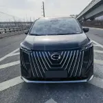 GAC Motor Trumpchi M8 2026 из Китая