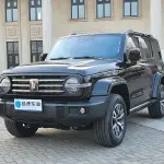 Tank Tank 300 2024 252 л.с. из Китая