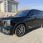 GAC Motor Trumpchi GS8 2024 из Китая