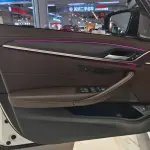 BMW 5 Series 2021 из Китая