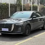 Hongqi Hongqi H5 2024 из Китая