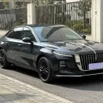 Hongqi Hongqi H5 2024 из Китая