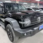 Tank Tank 300 2025 227 л.с. 227 л.с. 227 л.с. из Китая