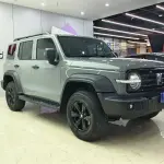 Tank Tank 300 2023 из Китая