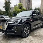 Hongqi Hongqi HS5 2023 224 л.с. — лот 57729650 из Китая