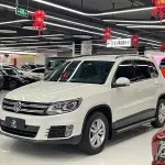 Volkswagen Tiguan 2015 из Китая
