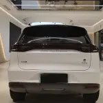 BYD Tang New Energy 2019 из Китая