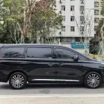 GAC Motor Trumpchi M8 2019 201 л.с. — лот 57736050 из Китая