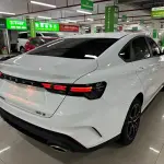 Geely Binrui 2024 из Китая