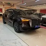 Hongqi Hongqi HS5 2023 252 л.с. — лот 57736453 из Китая