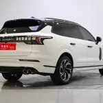 Lynk & Co 09 EM-P 2022 из Китая
