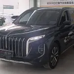 Hongqi Hongqi HS7 2023 из Китая