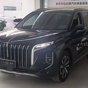 Hongqi Hongqi HS7 2023 из Китая