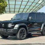 Tank Tank 300 2024 227 л.с. — лот 57738192 из Китая