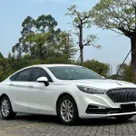 Hongqi Hongqi H5 2020 из Китая