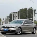 BMW 5 Series 2019 252 л.с. — лот 57747380 из Китая