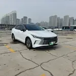 BYD Destroyer 05 2024 из Китая