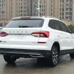 Skoda Kamiq 2022 из Китая