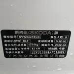 Skoda Kamiq 2022 из Китая