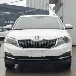 Skoda Kamiq 2022 из Китая