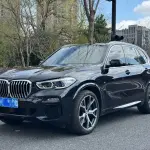 BMW X5 (Import) 2019 340 л.с. — лот 57746274 из Китая