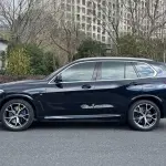 BMW X5 (Import) 2019 340 л.с. — лот 57746274 из Китая