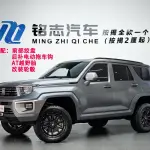 Tank Tank 700 New Energy 2024 из Китая