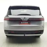Denza 腾势N9 2025 из Китая