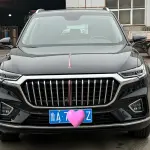Hongqi Hongqi HS5 2020 224 л.с. 224 л.с. из Китая