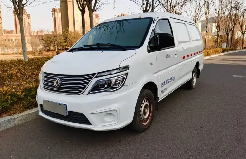 Fengxing Lingzhi 2020 из Китая