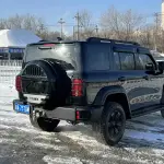 Tank Tank 300 2023 227 л.с. — лот 57752818 из Китая