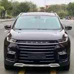 Exeed Exeed TX 2019 из Китая