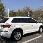 Skoda Kodiaq 2025 из Китая