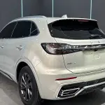 Hongqi Hongqi HS5 2024 из Китая