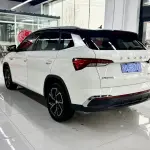 Skoda Kamiq 2022 из Китая