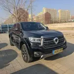 Great Wall Pao 2023 190 л.с. 190 л.с. из Китая