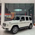 Mercedes-Benz G-Class 2019 из Китая