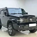 Tank Tank 300 2024 252 л.с. 252 л.с. 252 л.с. из Китая