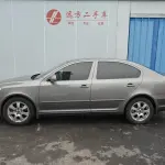 Skoda Octavia 2013 из Китая