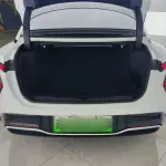 Hongqi Hongqi EH7 2024 из Китая