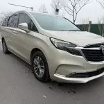 Buick GL8 2022 237 л.с. 237 л.с. 237 л.с. 237 л.с. 237 л.с. из Китая