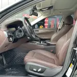 BMW 5 Series New Energy 2021 из Китая