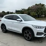 BYD PLUS 2021 из Китая
