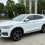 BYD PLUS 2021 из Китая