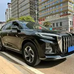 Hongqi Hongqi HS3 2024 из Китая