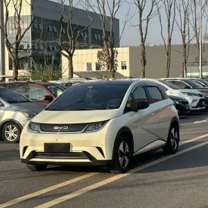 BYD Dolphin 2023 из Китая